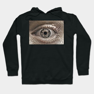 Furry Eye of Lunacy Hoodie